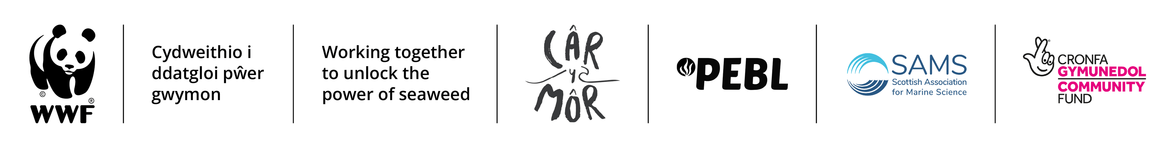 In partnership with WWF, Câr-y-Môr, PEBL, SAMS, and the National Lottery Community Fund